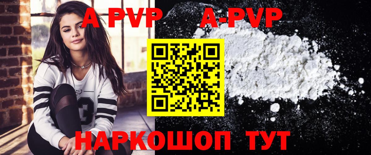 A PVP СК КРИС Казань