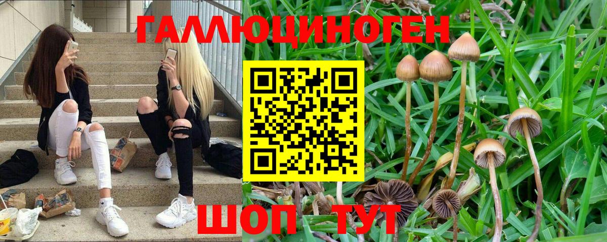 Галлюциногенные грибы Cubensis  Вход с VPN  Казань 